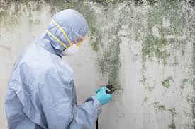 Best Residential Mold Inspection & Testing  in Moorefield, WV